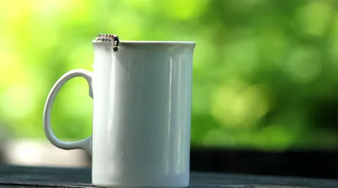 A caterpillar crawling on a mug of tea Stock Footage 24896449