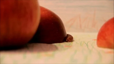 Caterpillar crawling past red apples Stock-Footage 77862984