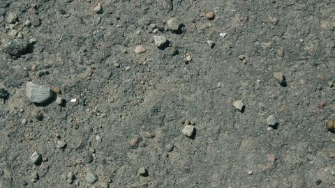 The caterpillar crawls on the ground Stock Footage 86522248