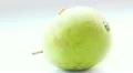 A caterpillar crossing the pear HD Footage