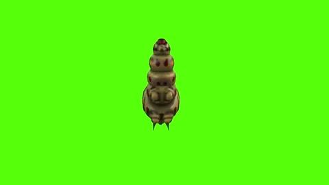 Caterpillar Down Green Screen Animation 4K Rendering Vidéo 295556382