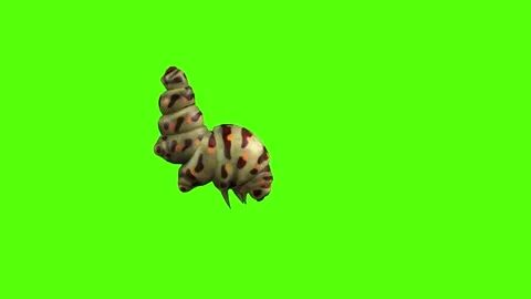 Caterpillar Down Green Screen Animation 4K Rendering Vídeos de archivo 295556396