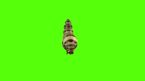 Caterpillar Down Green Screen Animation 4K Rendering Stock-Footage 295556404