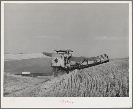 Caterpillar-drawn combine working in wheat fields. Whitman County, Washing... Stock Photos