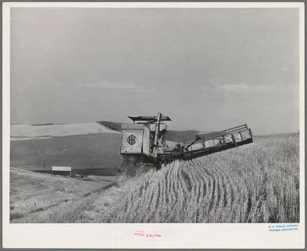 Caterpillar-drawn combine working in wheat fields. Whitman County, Washing... Stock Photos
