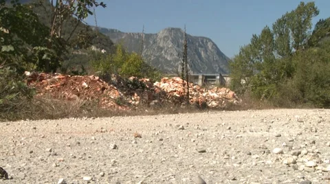 Caterpillar 動画素材 8662180