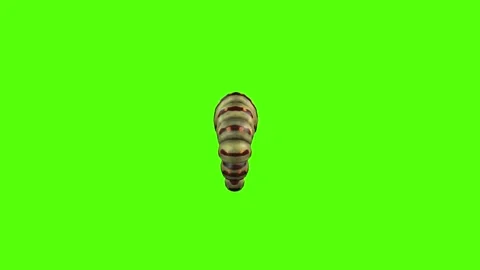 Caterpillar up Green Screen Animation 4K Rendering Vídeos de archivo 295556365