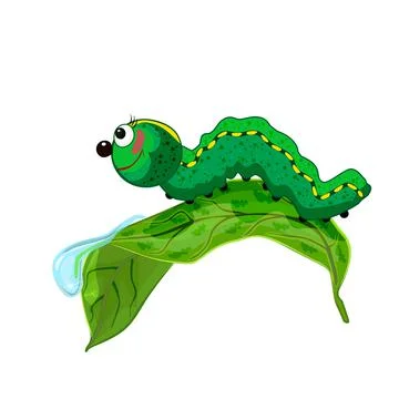 Caterpillar on leaf isolated on white background. Cute cartoon caterpillar. Stock Illustration