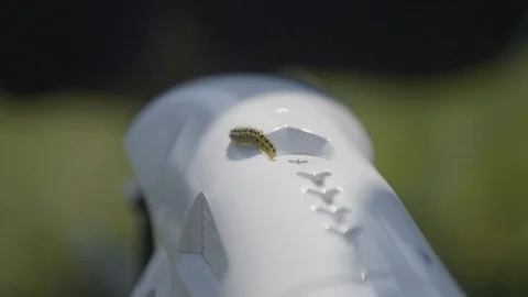 Caterpillar on a remote control drone 動画素材 94604208