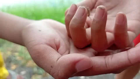 Caterpillar that walks on hands Stock Footage 313255971