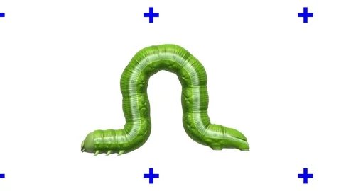 Caterpillar on white, looping 3D animation Stock Footage 112009523