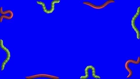 Caterpillars and Worms on blue, looping 3D animation Stock Footage 112007680