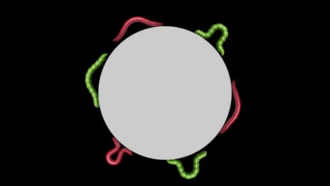 Caterpillars and Worms on gray circle, looping 3D animation 스톡 동영상 112019399