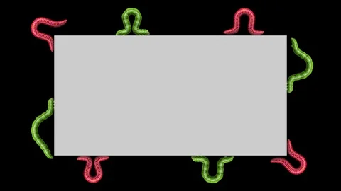 Caterpillars and Worms on gray rectangle, looping 3D animation Stock Footage 112012308