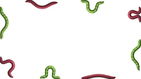Caterpillars and Worms on white with alpha matte, looping 3D animation Stockbeeldmateriaal 112003397
