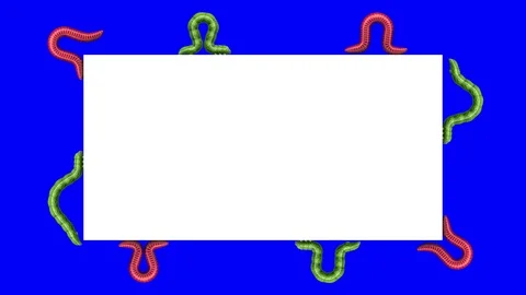 Caterpillars and Worms on white rectangle, looping 3D animation Stock Footage 112010295