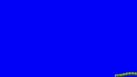 Caterpillars on blue, 3D animation Stock Footage 112009445