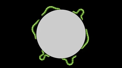 Caterpillars on gray circle, looping 3D animation Stock Footage 112016416
