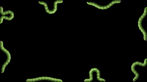 Caterpillars on transparent background, looping 3D animation Vídeo Stock 112002884