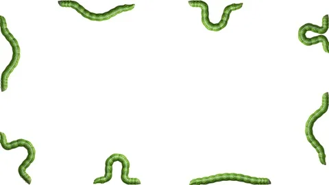 Caterpillars on white with alpha matte, looping 3D animation Stock-Footage 112007083