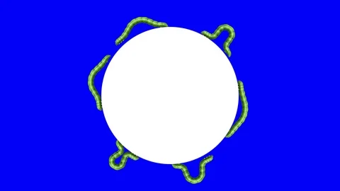 Caterpillars on white circle, looping 3D animation Stock Footage 112014045