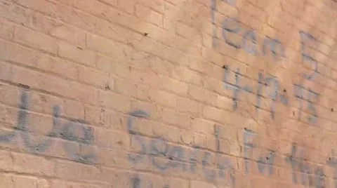 CATF5 Stock Footage 11761697