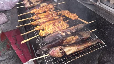 Catfish and chicken on the grill Stock Footage 258274235