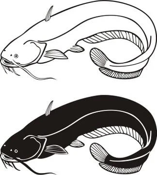 Catfish Stock-Illustration