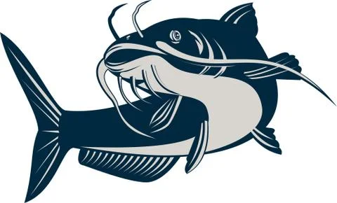 Catfish jumping. Stock Illustration