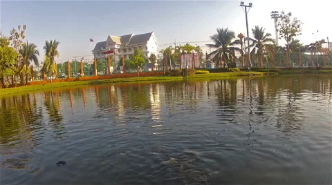 Catfish pond in Mae Sot. Stock Footage 48544010