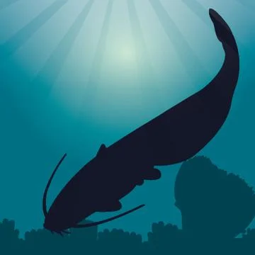 Catfish Silhouette Stock Illustration
