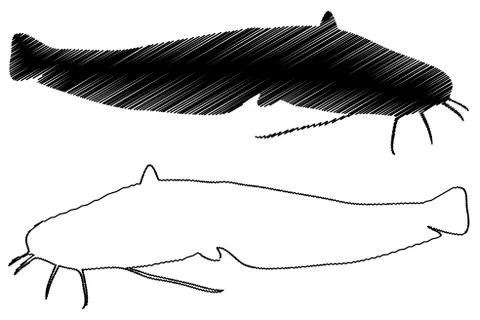 Catfish silhouette vector Stock Illustration