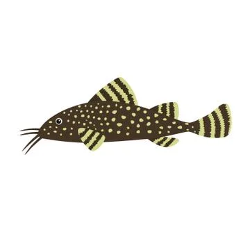 Catfish on white background Stock Illustration