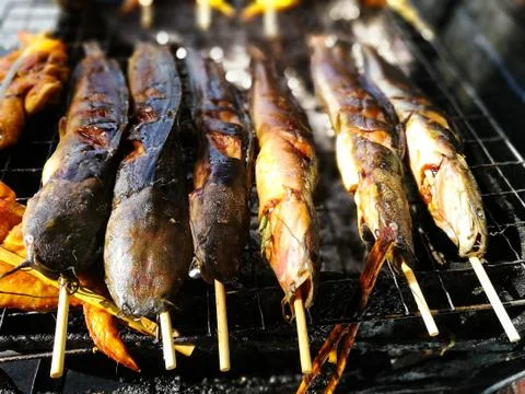 Catfishs roasted on the grill Stock Photos