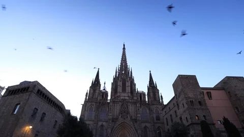 The cathedral of Barcelona, Spain Stock Footage 126319863