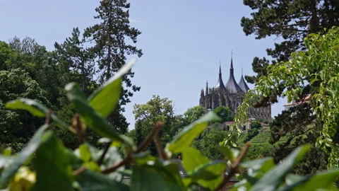 Cathedral Framed by Summer Foliage Stock Footage 313844772