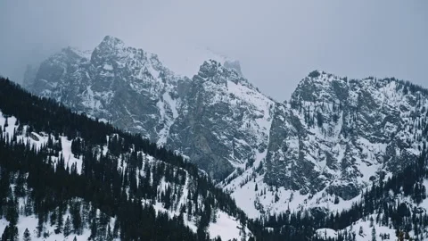 Cathedral Group Winter Mountains and Forest Grand Teton National Park Stock Footage 313484295