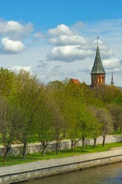 Cathedral of Kaliningrad Stock Photos
