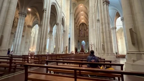Cathedral of La Plata Stock Footage 248309643