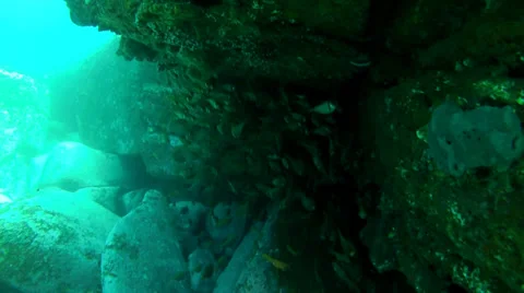 The Cathedral, Long Reef NSW Stock Footage 28401395