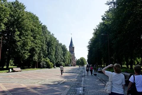 The cathedral of medieval construction stands on the square Stock Photos