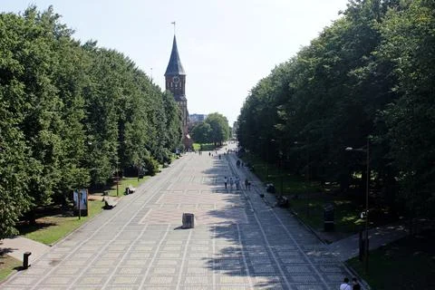 The cathedral of medieval construction stands on the square Stock Photos