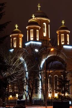 A cathedral at night, in a vertical position Foto stock