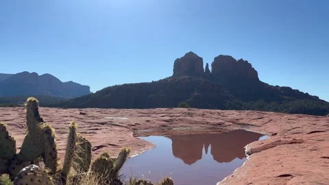 Cathedral Rock Reflection Into Water with Cactus Foreground - Sedona, Arizona Stock Footage 285328696