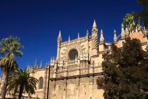Cathedral in sevile 스톡 사진