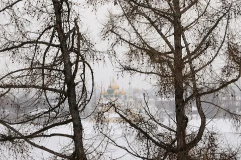 Cathedral through larch trees Stock Photos