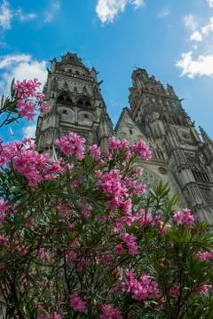 Cathedral in tours Stock Photos