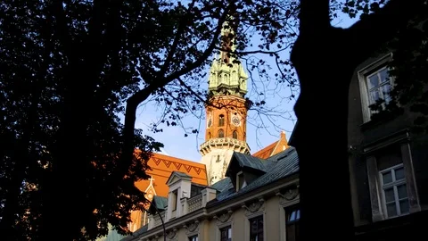 Cathedral tower from behind the trees Stock Footage 125248368
