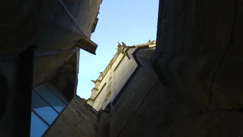 Cathedral of Valencia  Stock Footage 139710472