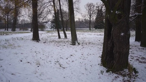 Catherine Park Video stock 96824453